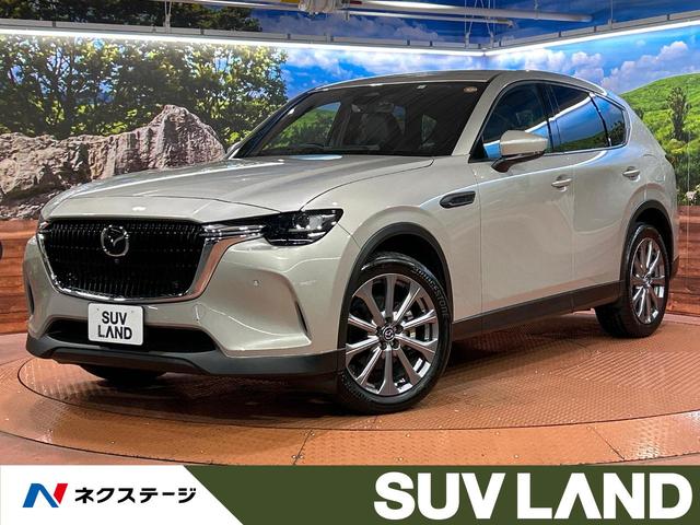 ãءݣ ףġʥӡϥ顡ﳲڸ֡졼롼 1