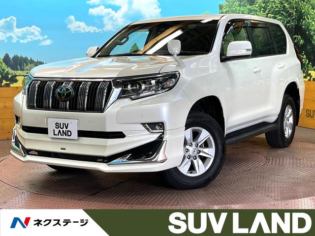 ȥ西 ɥ롼ץ ԣءǥꥹ롼ա졼롼ȥ