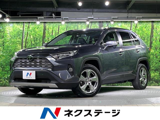 ＲＡＶ４　大阪府 ４ＷＤ　純正ＳＤナビ　バックカメラ　衝突被害軽減システム