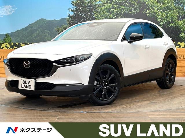 ޥĥ ãءݣ أġȥݡĥǥ󡡥᡼ʥӡϥ