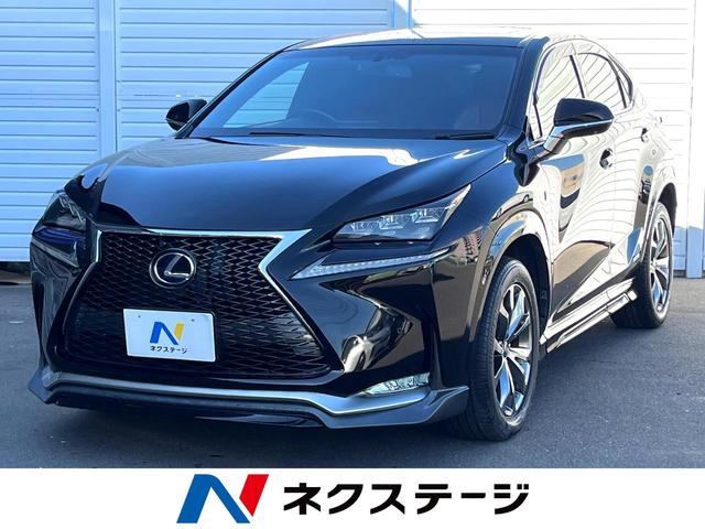 ＮＸ　佐賀県 フルエアロ　バックカメラ　レザーシート　前席シートエアコン　スマートキー