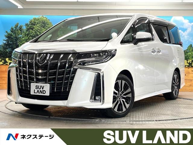 եɡܸ ر֡ʥӡХå顡ξ¦ѥ饤ɥɥ 1