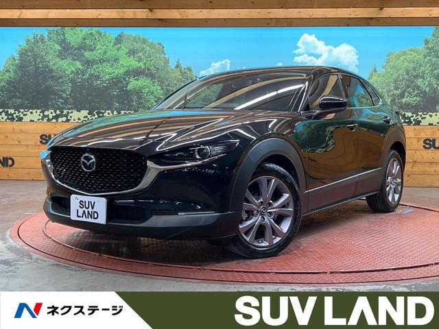 ãءݣ ϥ顡ޡȥ֥졼ݡȡ졼롼ر 1