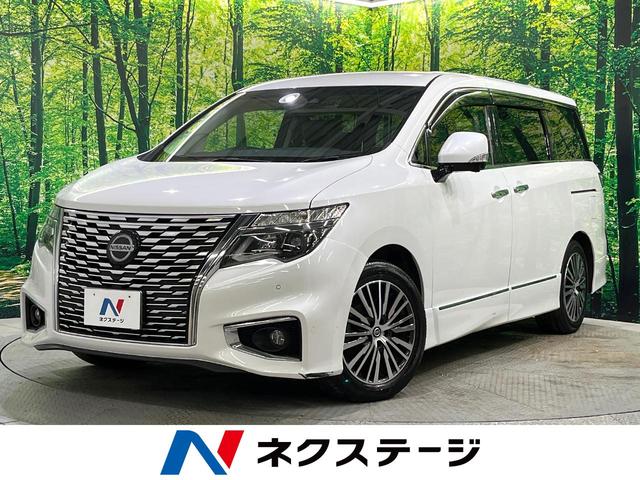 エルグランド　北海道 フリップダウンモニター　メーカーナビ　電動リアゲート　両側電動スライド