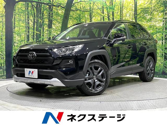 ＲＡＶ４　北海道 純正ディスプレイオーディオ　バックカメラ　寒冷地仕様　レーダークルーズ
