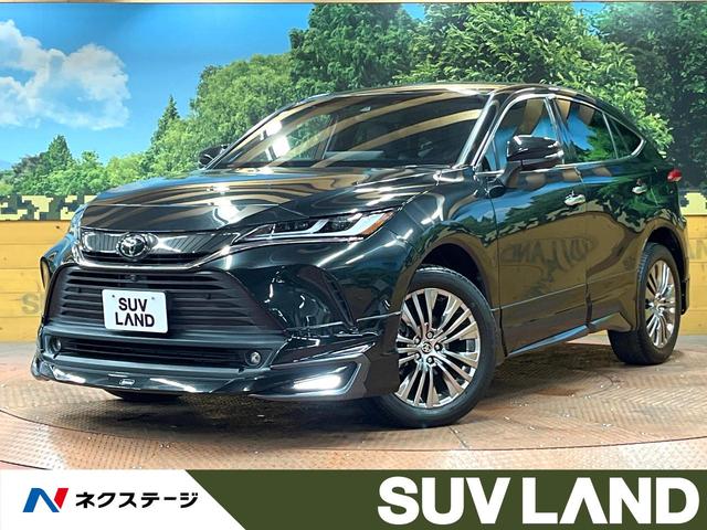 ȥ西 ϥꥢ ڡǥꥹʥӡϥ