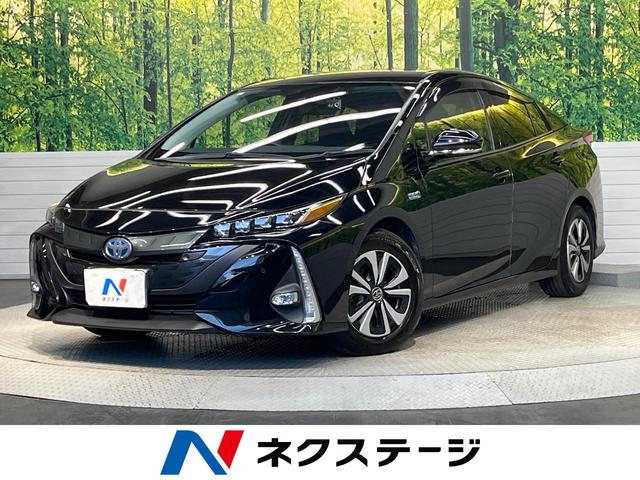 ץꥦУȣ֡ʡ ʥӡХå顡եƥ󥹡졼롼 1