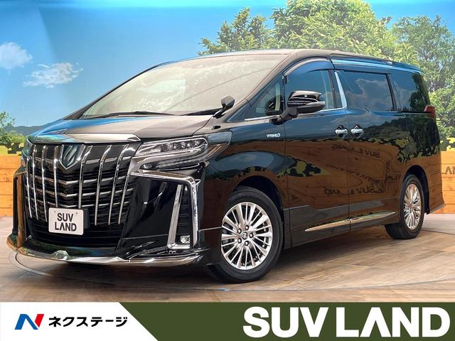 եɥϥ֥åɡ縩 ףġ롼աե륨ξ¦ưɥӣĥʥӡʥ˥ 1