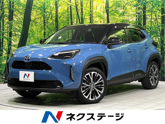 ꥹĸ ףġر֡ͷڸϥ顡ǥץ쥤ǥ 1