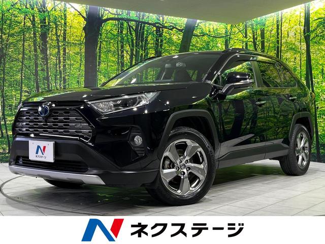 ＲＡＶ４　岩手県 全周囲カメラ　セーフティセンス　レーダークルーズ　禁煙車　合皮シート