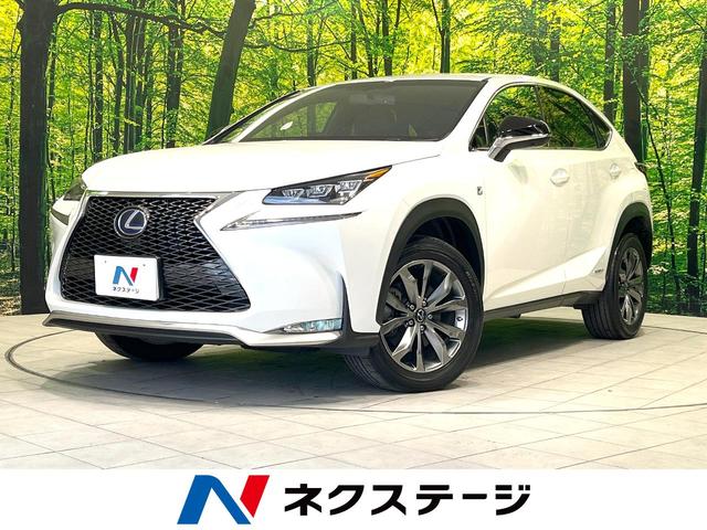 쥯 Σ Σأ衡ƥݡġ᡼ʥӡ̣ţĥإå