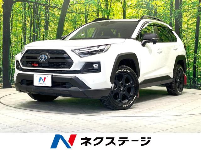 ＲＡＶ４　愛知県 ４ＷＤ　禁煙車　１０．５インチディスプレイオーディオ　バックカメラ