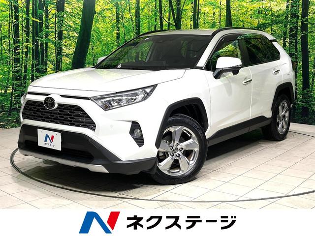 ＲＡＶ４　愛知県 禁煙車　ＡＷＤ　純正９型ナビ　バックカメラ　ブラインドスポットモニター