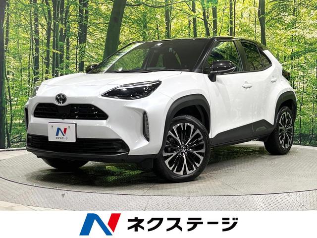 ꥹ̳ƻ 졼롼쥶ȡѥȡɥ쥳ޡȥ 1