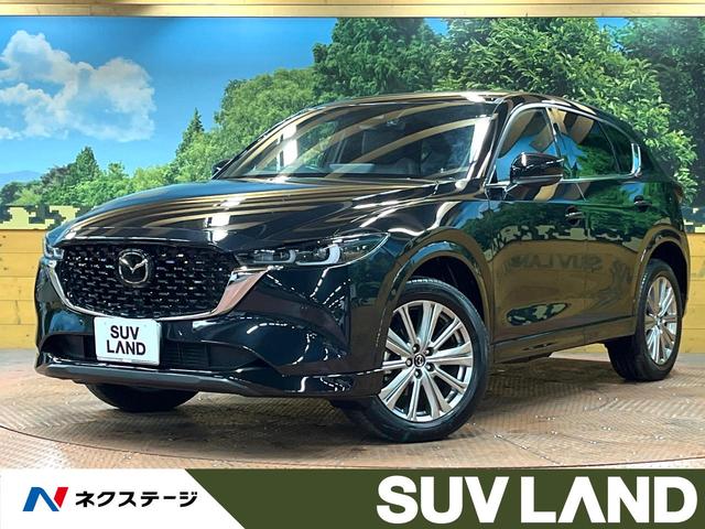 ãءݣո 롼ա£ϣӣšʥӡϥ顡ѥХåɥر 1