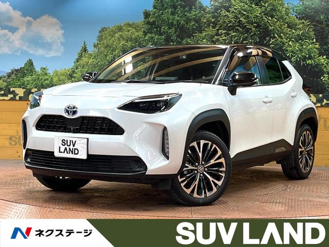 ꥹո ǥץ쥤ǥϥ顡֥饤ɥݥåȥ˥ 1