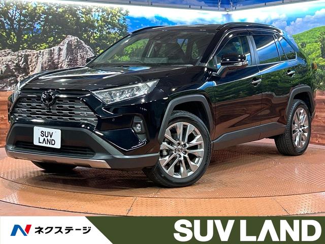 ＲＡＶ４　大阪府 純正１０．５インチディスプレイオーディオ　トヨタセーフティセンス