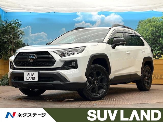 ＲＡＶ４　大阪府 純正１０型ディスプレイオーディオ　全周囲カメラ　パワーバックドア