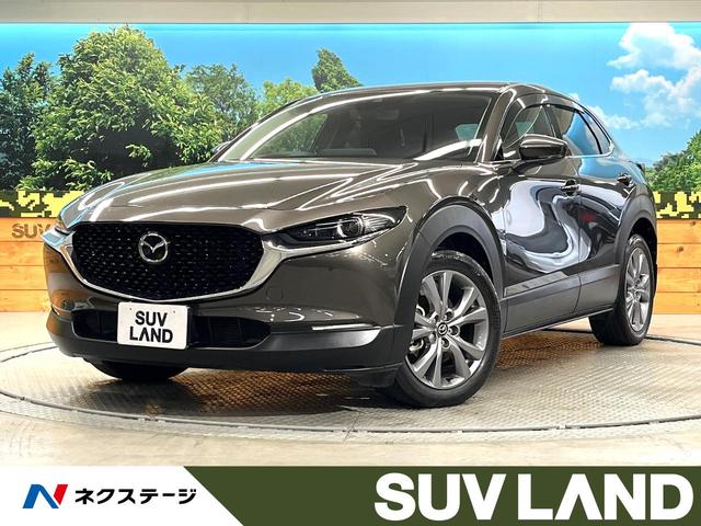 ãءݣܸ ر֡ޡȥ֥졼ݡȡޥĥͥ 1