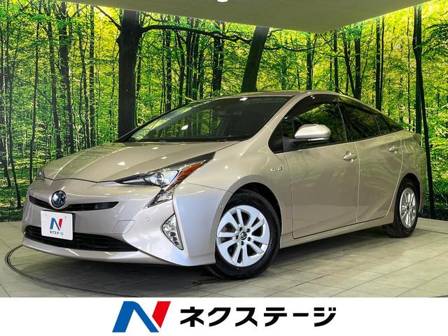 ץꥦ긩 ӣĥʥӡХå顡ãŸեƥ󥹣 1