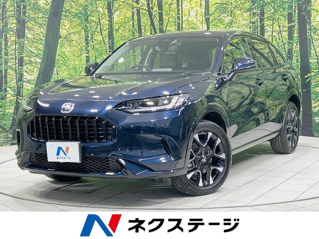 ڣҡݣ֡縩 ͷڸر֥֡饤ɥݥåȥ˥֤šưꥢ 1