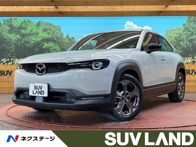 ͣءݣ ֥饦ޥĥͥȡӥ塼˥ţԣ 1