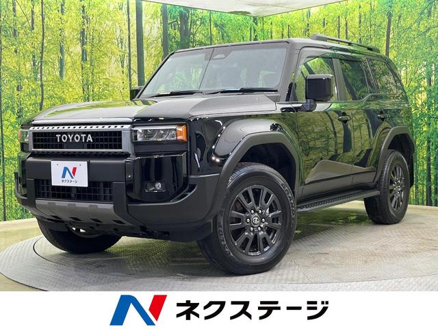 ɥ롼㸩 ;衡롼աǥץ쥤ϥ 1