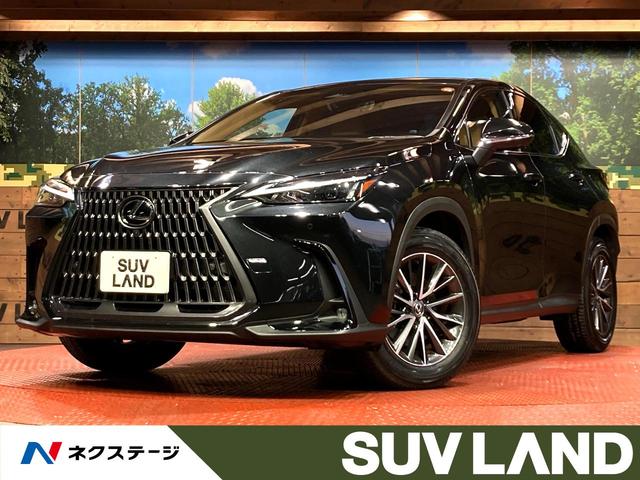NX NX250 純正14型ナビ 全周囲カメラ 衝突軽減装置 ヘッドアップディスプレイ レーダークルーズコントロール パワーバックドア シートヒーター シートエアコン ステアリングヒーター パワーシート ドラレコ(1枚目)