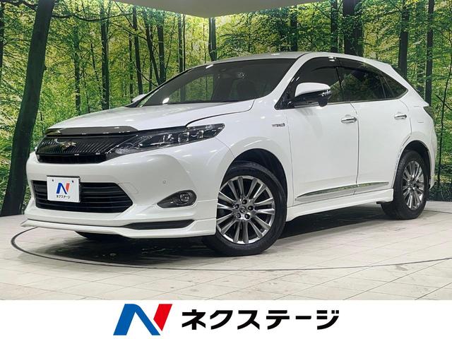 ϥꥢϥ֥åɡ̳ƻ ѥȡɥ쥳ޡȥ̣ţĥإåɡӥȥţԣ 1