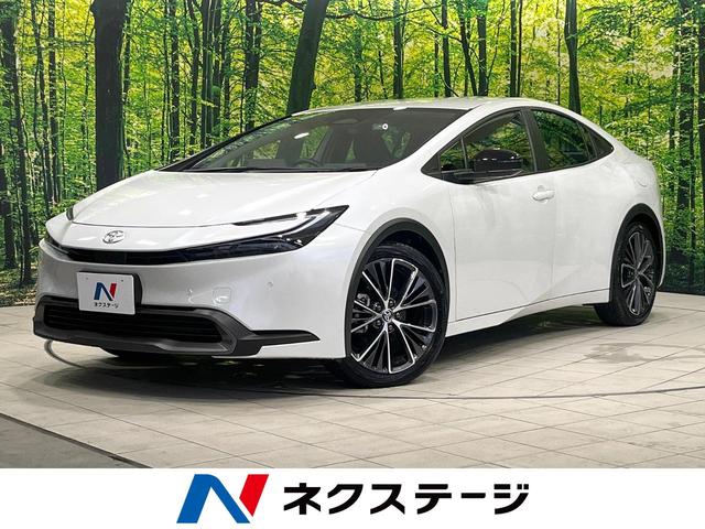 ȥ西 ץꥦ ǡϥ顡ﳲڸƥࡡŸ