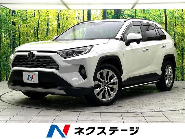 ＲＡＶ４　大阪府 ４ＷＤ　純正ＳＤナビ　バックカメラ　衝突被害軽減システム