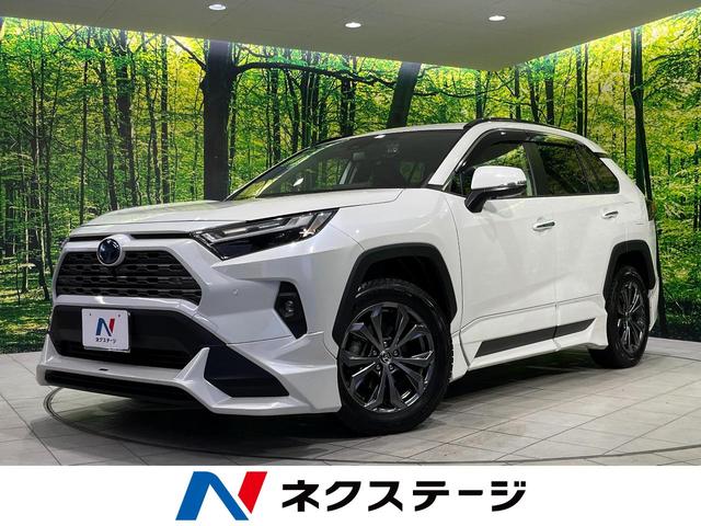 ＲＡＶ４　岩手県 ＴＲＤエアロ　純正９型ディスプレイ　全周囲カメラ　セーフティセンス