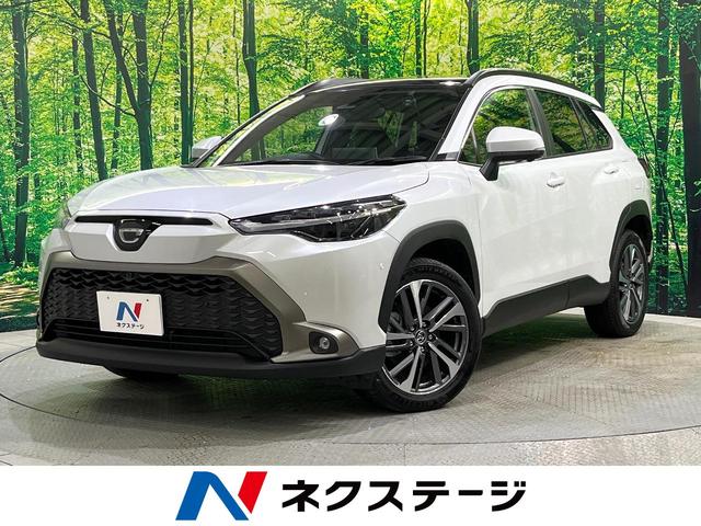 ȥ西 饯 ϥ֥åɡڡϻ͡롼