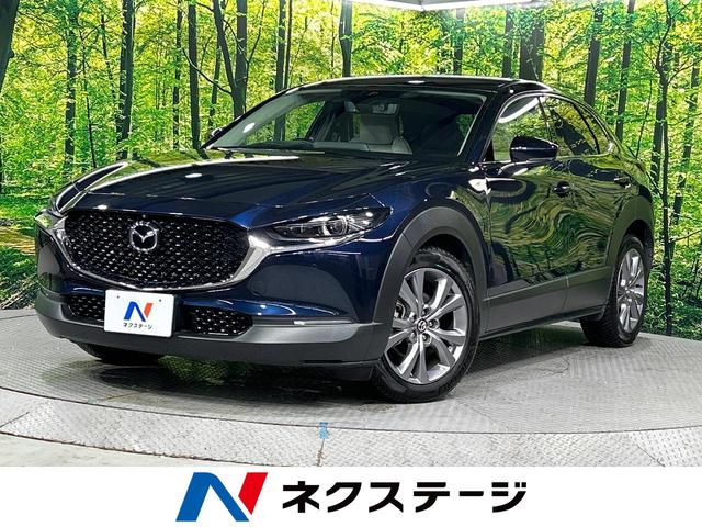 ãءݣ̳ƻ ܽ졡ر֡ޥĥͥȡϥ顡ȥҡ 1