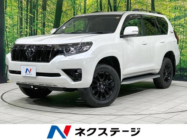 ランドクルーザープラド　茨城県 ７人乗り　サンルーフ　ＢＩＧ－Ｘ９インチナビ　フリップダウン