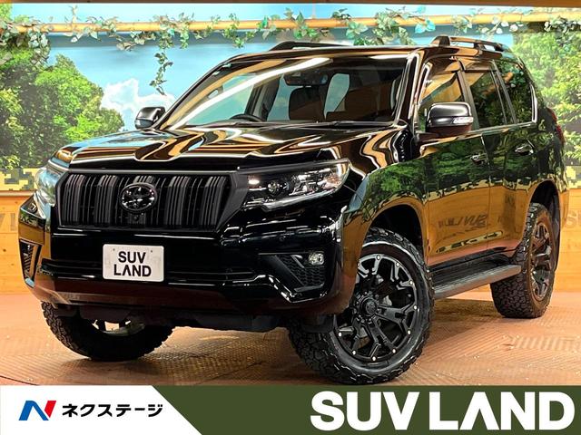 ɥ롼ץɡ ر֡롼աʥӥե륻ϥ顡;衡ͷڸ 1