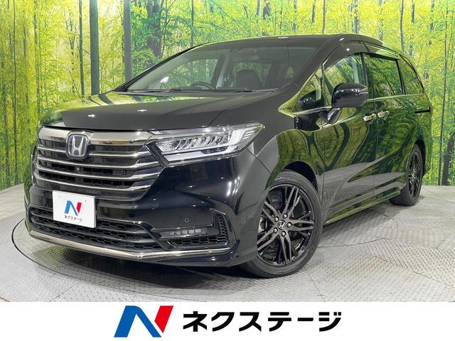 ǥåϥ֥åɡ̸ ʥ˥ʥӡϥ顡ξ¦ư饤ɥɥ£ӣ 1