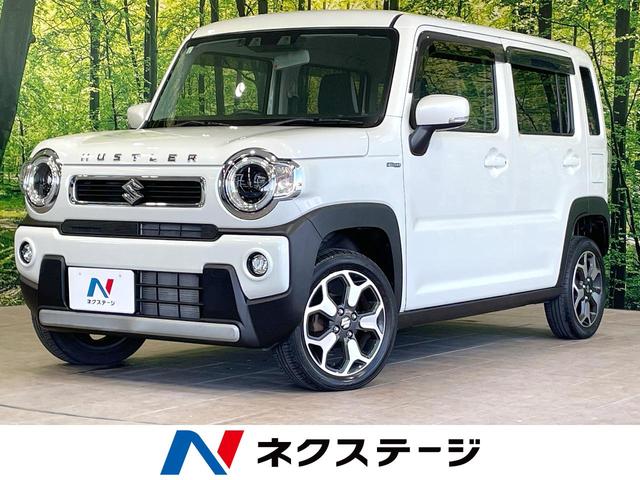  ϥ顼 ϥ֥åɣءر֡եƥݡȡӣĥʥ