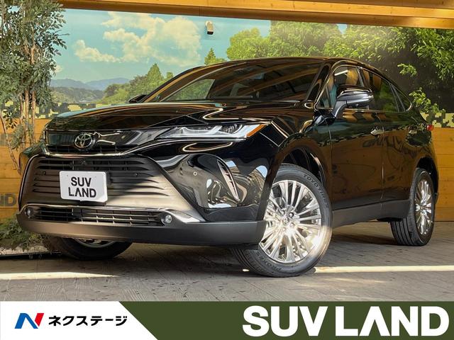 ϥꥢϥ֥åɡʡ ĴѥΥޥ롼աǥץ쥤ǥ 1