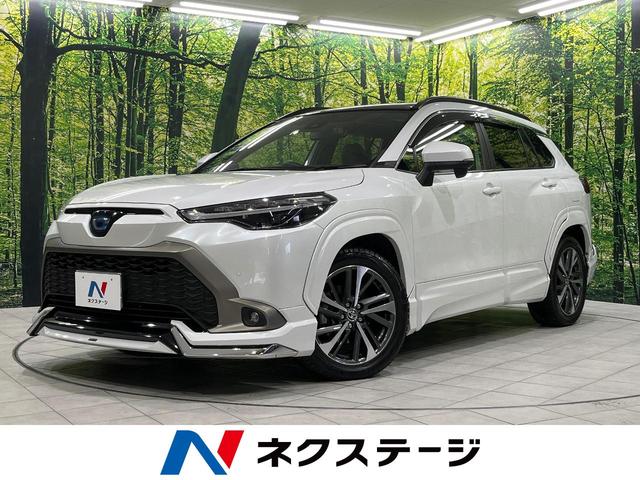 J[NX(g^) nCubh@y@fX^GA@KX[t@։ԁ@ndl@fBXvCI[fBI@obNJ@Փˌyu@[_[N[Y@p[V[g@V[gq[^[@dsb@I[gCg@I[gnCr[ Îԉ摜