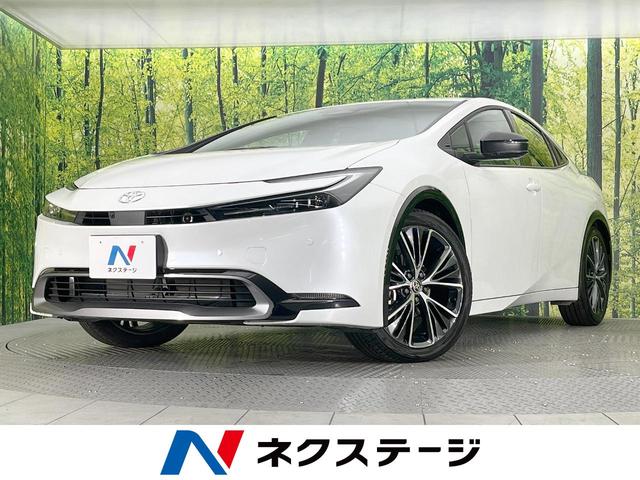 ȥ西 ץꥦ ڡϥ顡ﳲڸƥࡡ졼롼