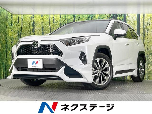 ＲＡＶ４　愛知県 ４ＷＤ　サンルーフ　フルエアロ　全周囲カメラ　衝突被害軽減システム