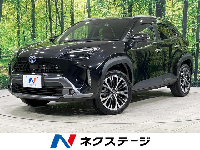 ȥ西 ꥹ ϥ֥åɣڡɥ٥㡼ܽף