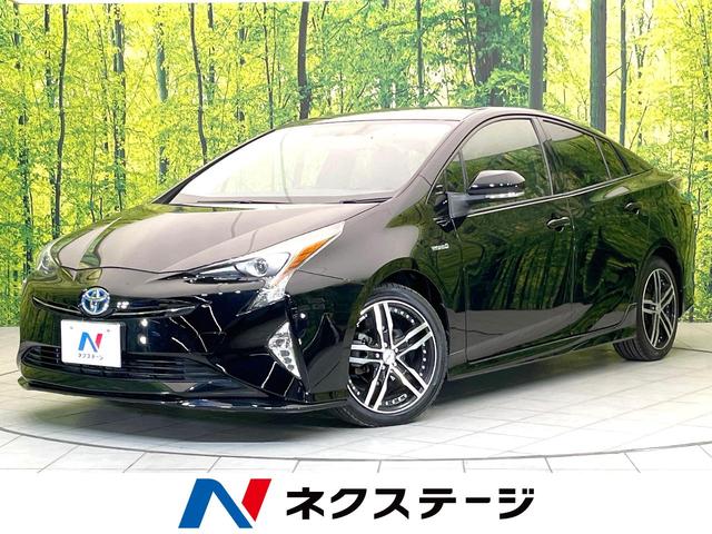 ȥ西 ץꥦ ӡեƥ󥹡ӣĥʥӡХå