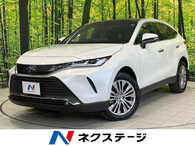 ȥ西 ϥꥢϥ֥å ڡ쥶ѥå饹롼աʥ