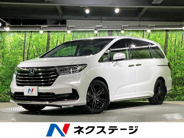 ǥåϥ֥åɡ ξ¦ưɥʥ˥ޥӥ塼饷ƥࡡۥ󥷥 1