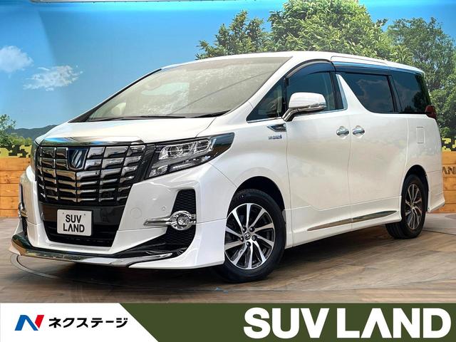 ȥ西 եɥϥ֥å ӣҡåѥåر֡᡼ʥ