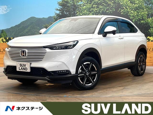 ۥ  塧ȣţ֡ءر֡ۥͥȥǥץ쥤