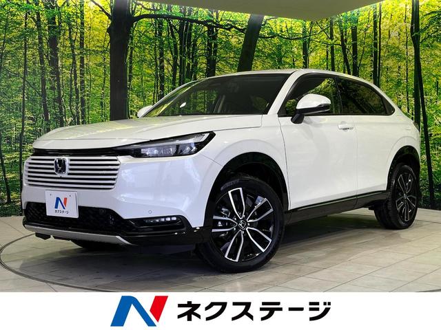 ۥ  塧ȣţ֡ڡףġۥͥȥǥץ쥤