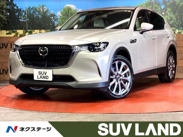 ãءݣθ ٥ӥ塼˥סﳲڸƥࡡ졼롼 1